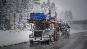 Car hauler insurance