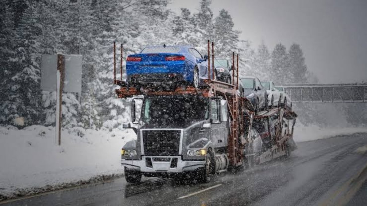 Car hauler insurance