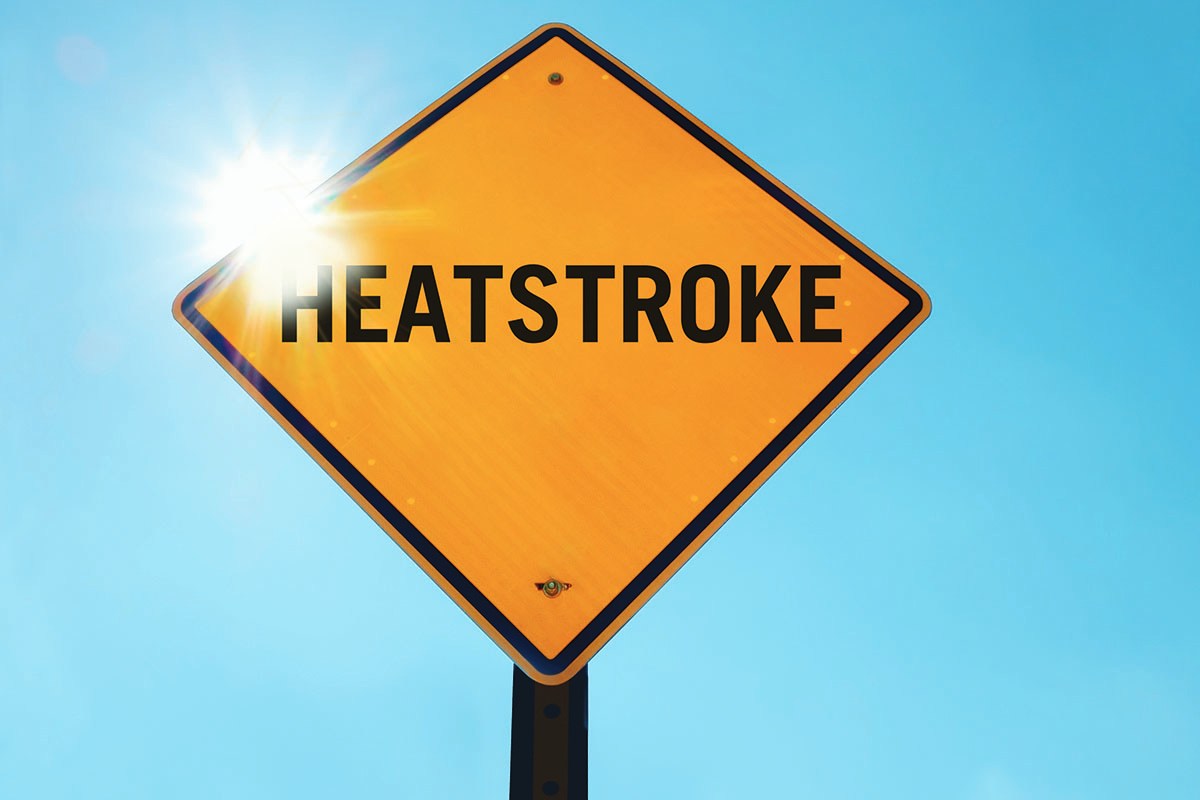 Hot Car Safety Tips